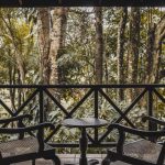 TREE OF LIFE HOTEL