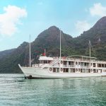 CALYPSO CRUISE