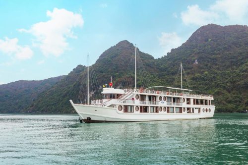 CALYPSO CRUISE