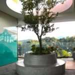 KANDY MYST BY CINNAMON HOTEL