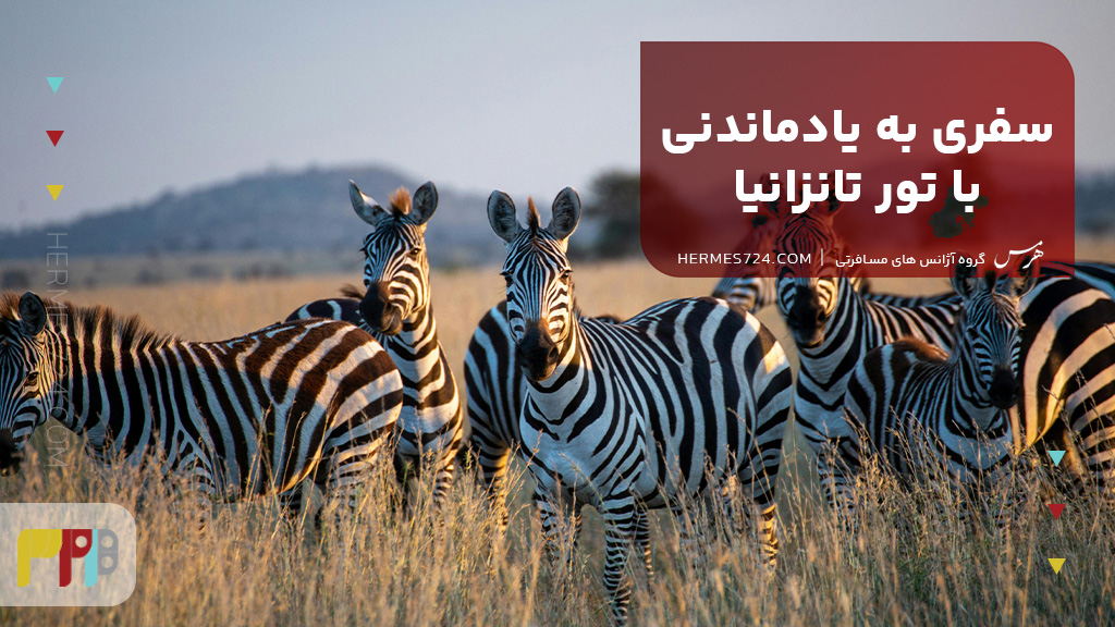 سفری به یادماندنی با تور تانزانیا