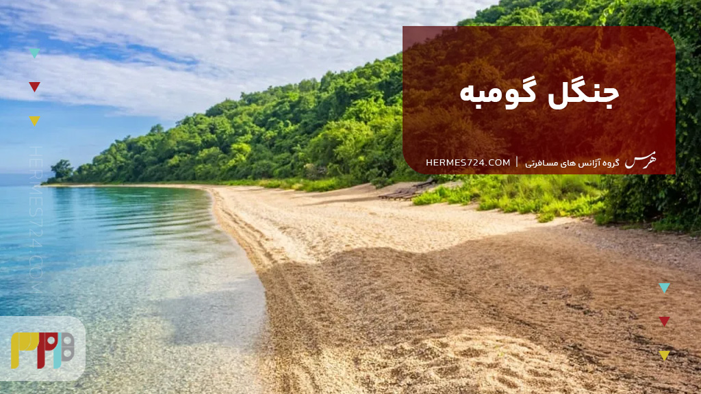 جنگل گومبه تانزانیا
