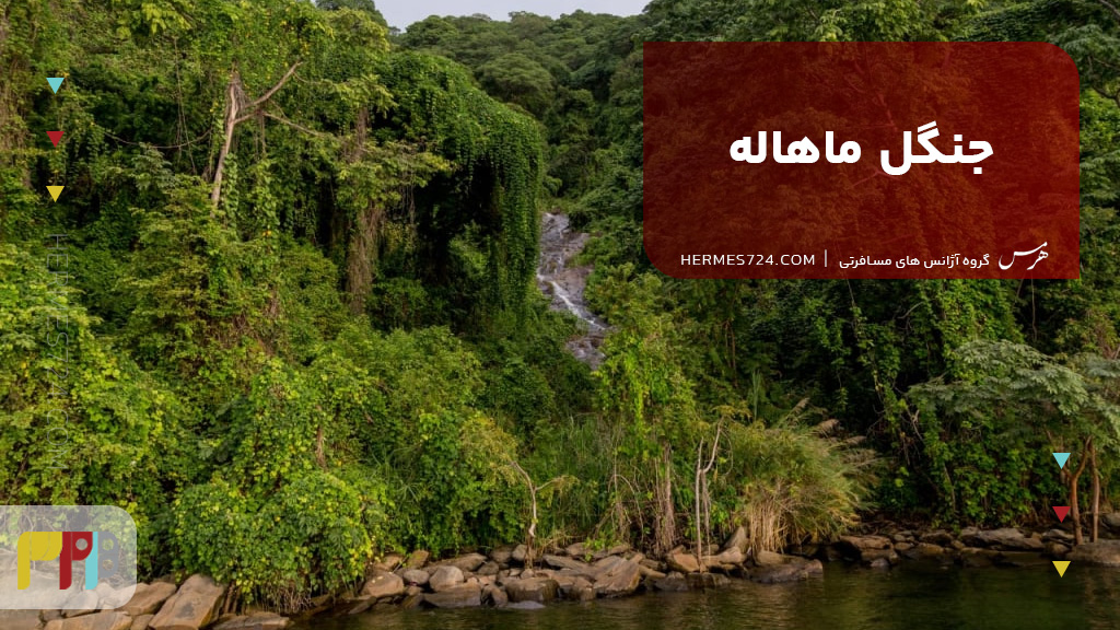 جنگل ماهاله تانزانیا