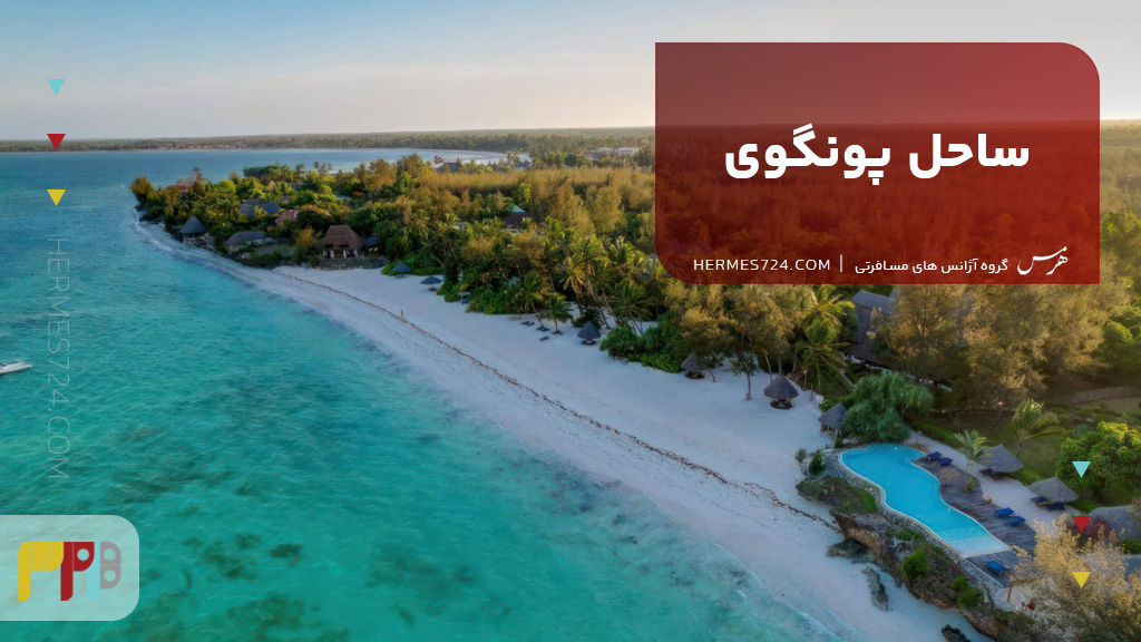 ساحل پونگوی