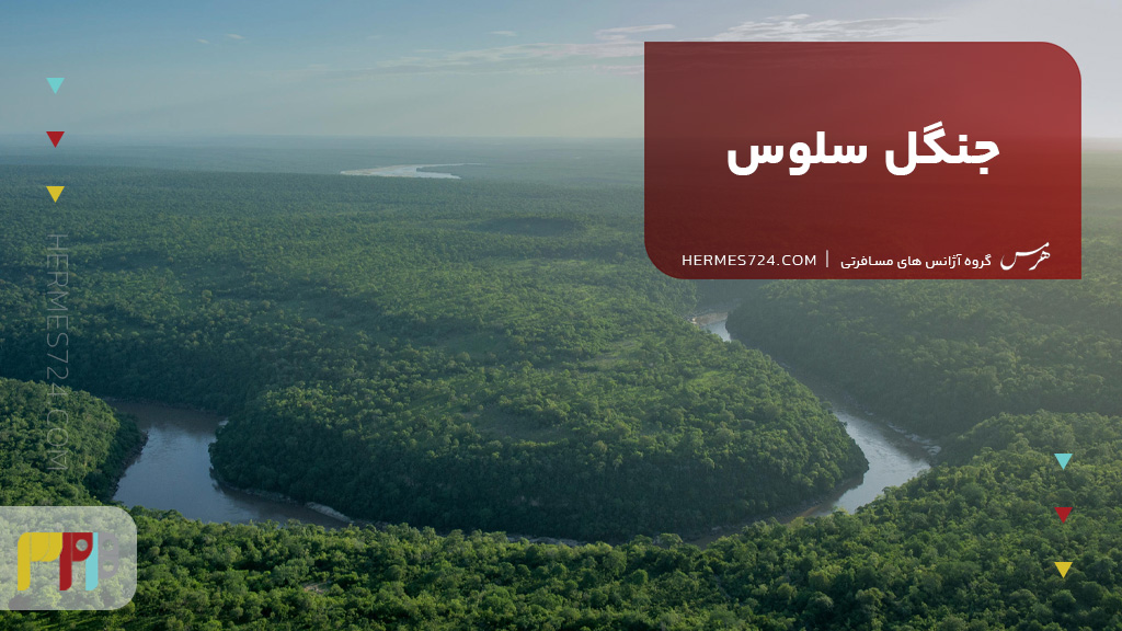 جنگل سلوس تانزانیا