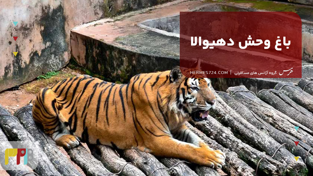 باغ وحش دهیوالا