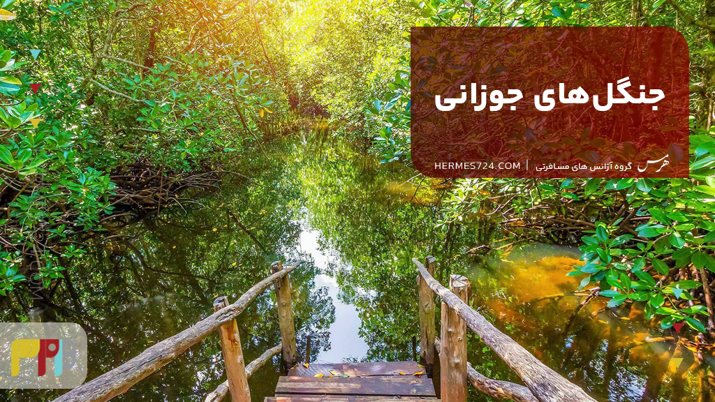 جنگلهای جوزانی زنگبار