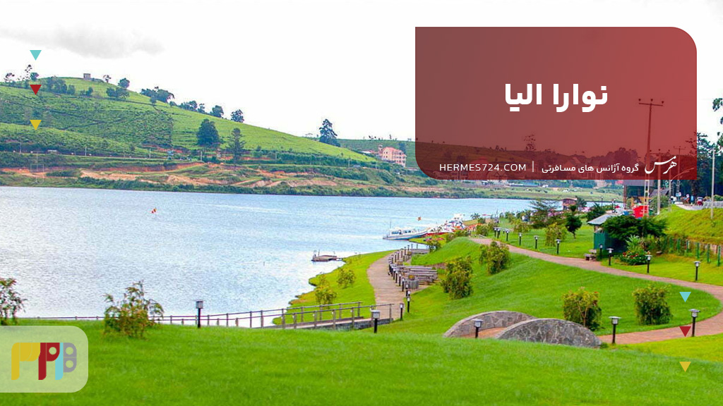 نوارا الیا