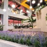 STEG HOTEL