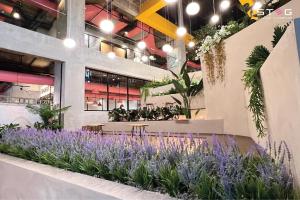 STEG HOTEL