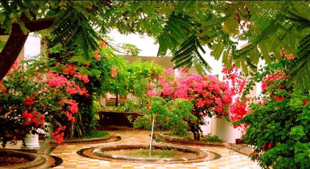 هتل فلامینگو کیش